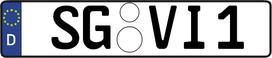 SG-VI1