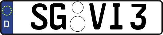 SG-VI3