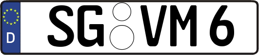 SG-VM6
