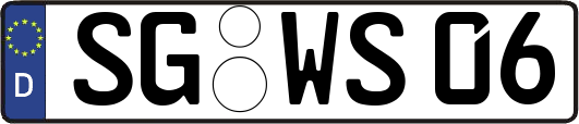 SG-WS06