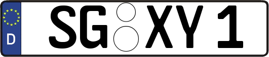 SG-XY1