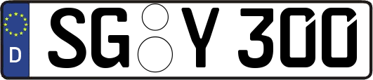 SG-Y300
