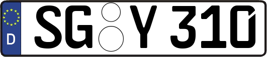SG-Y310
