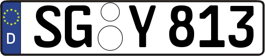 SG-Y813