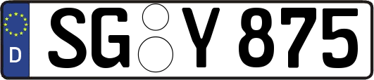 SG-Y875