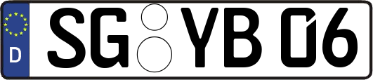 SG-YB06