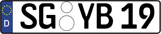 SG-YB19
