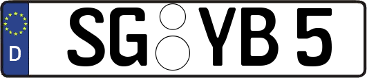 SG-YB5