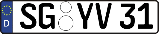 SG-YV31