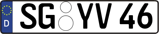 SG-YV46