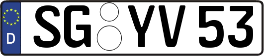 SG-YV53