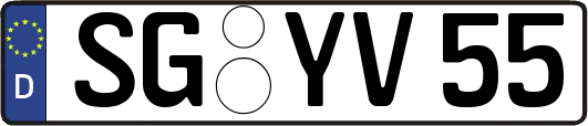 SG-YV55
