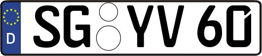 SG-YV60