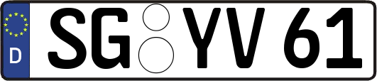 SG-YV61