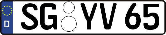 SG-YV65