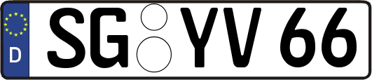 SG-YV66