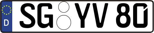 SG-YV80