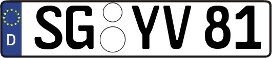SG-YV81