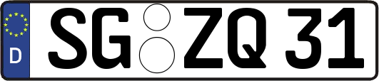 SG-ZQ31