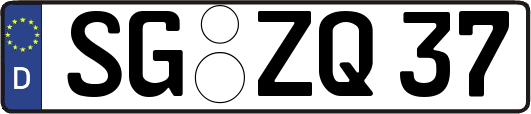 SG-ZQ37