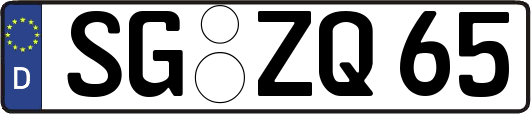 SG-ZQ65
