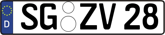 SG-ZV28