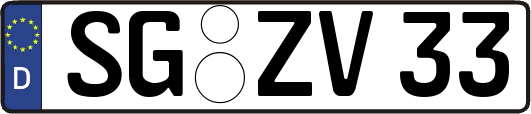 SG-ZV33