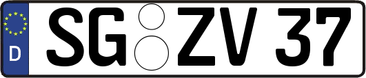 SG-ZV37