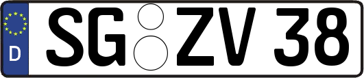 SG-ZV38