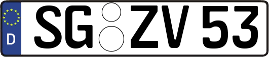 SG-ZV53