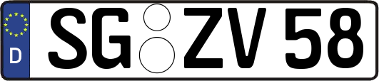 SG-ZV58
