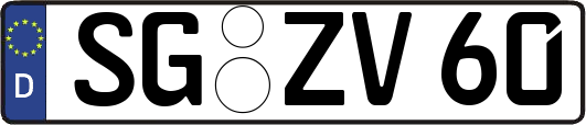 SG-ZV60