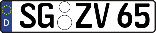 SG-ZV65