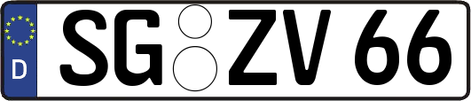 SG-ZV66