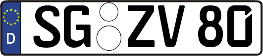 SG-ZV80