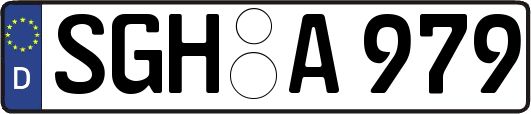 SGH-A979