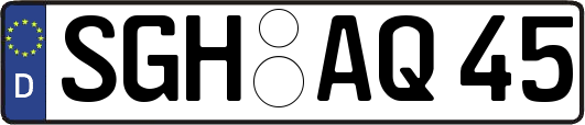 SGH-AQ45
