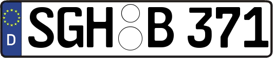 SGH-B371