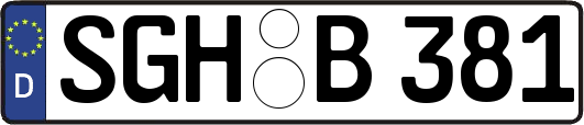 SGH-B381