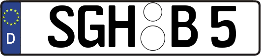 SGH-B5