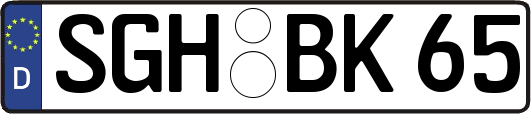 SGH-BK65