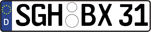 SGH-BX31