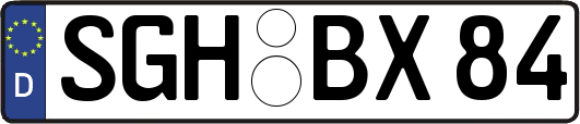 SGH-BX84