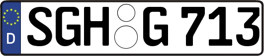 SGH-G713