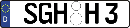 SGH-H3