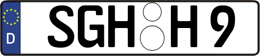 SGH-H9