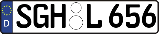 SGH-L656