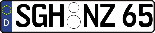SGH-NZ65