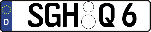 SGH-Q6