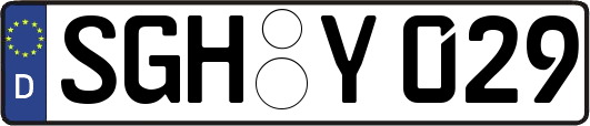SGH-Y029